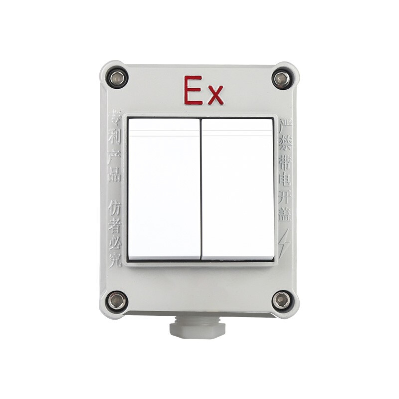 專業解析 工業級防爆照明開關——安全、可靠、多功能的電氣控制核心